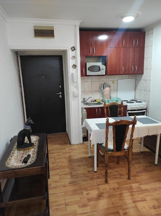 Apartment Mixa Bělehrad Exteriér fotografie